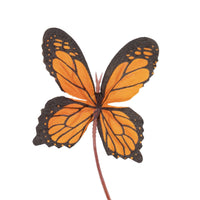 Lumi Mariposas Monarca
