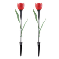 Rosa Solar (2 pzs)