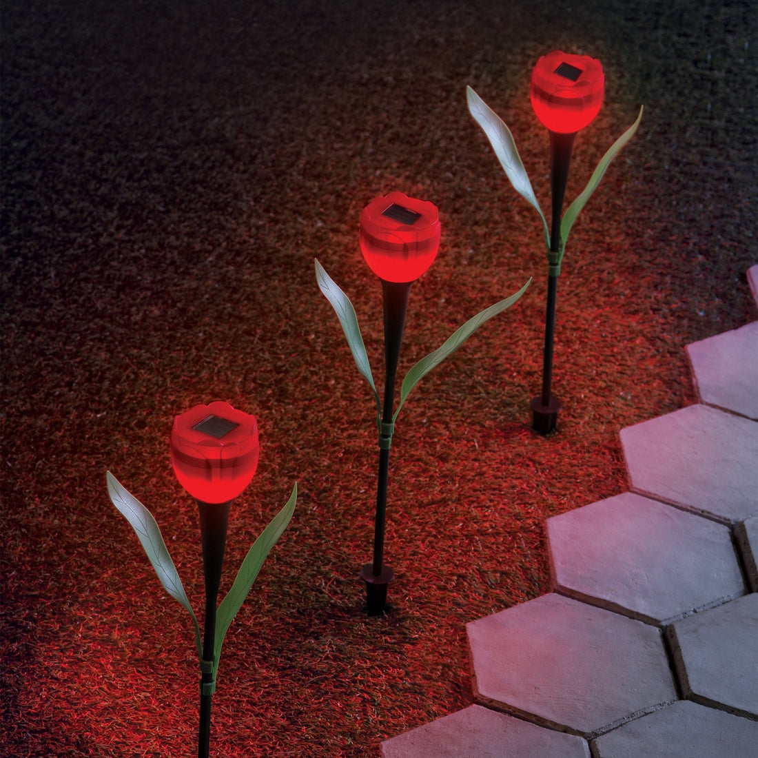 Rosa Solar (2 pzs)
