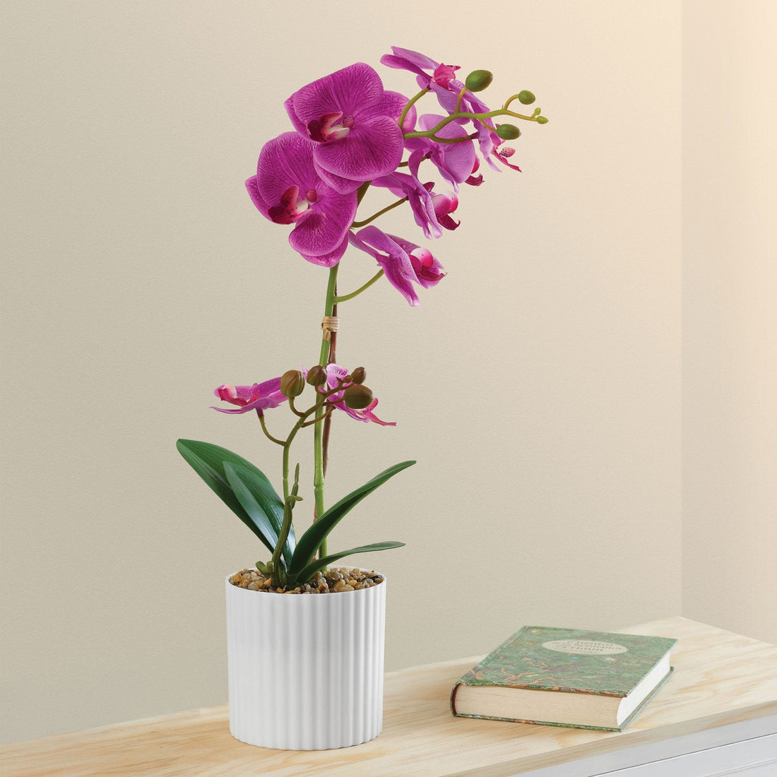 Deco Orquídea Purpura