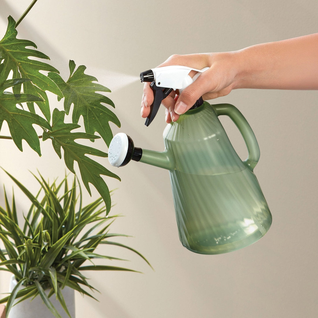 Riega Spray 1.5L
