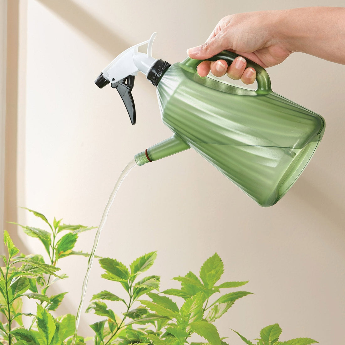 Riega Spray 1.5L